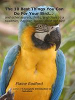 The 10 Best Things You Can Do For Your Bird