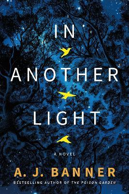 In Another Light: A Novel - A. J. Banner - cover