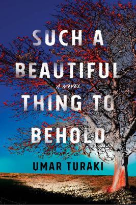 Such a Beautiful Thing to Behold: A Novel - Umar Turaki - cover