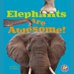 Elephants Are Awesome!