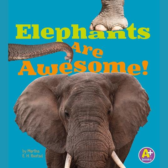 Elephants Are Awesome!