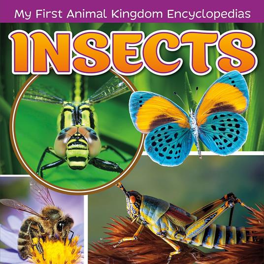 Insects