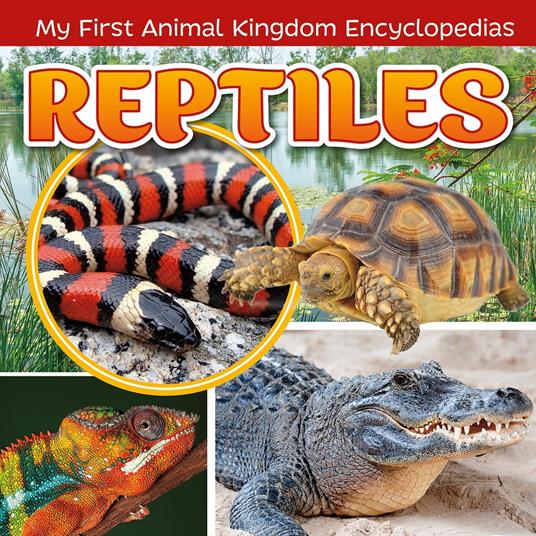 Reptiles