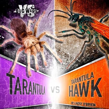 Tarantula vs. Tarantula Hawk