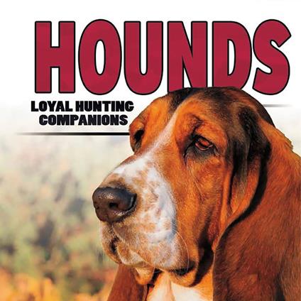 Hounds