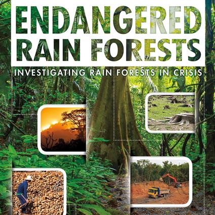 Endangered Rain Forests