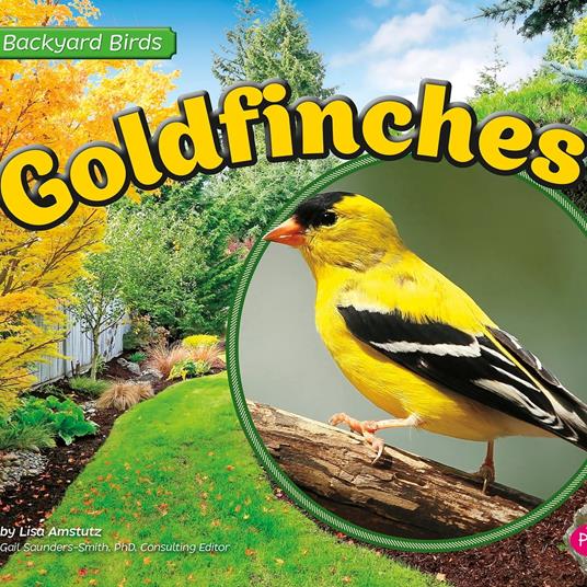 Goldfinches
