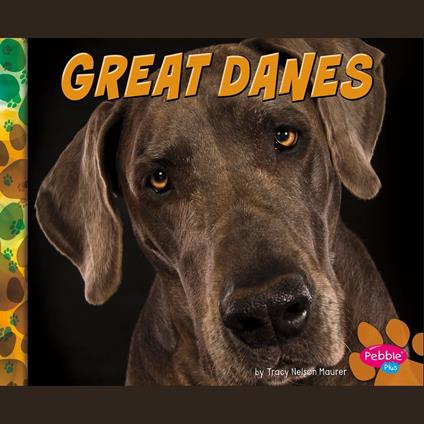 Great Danes