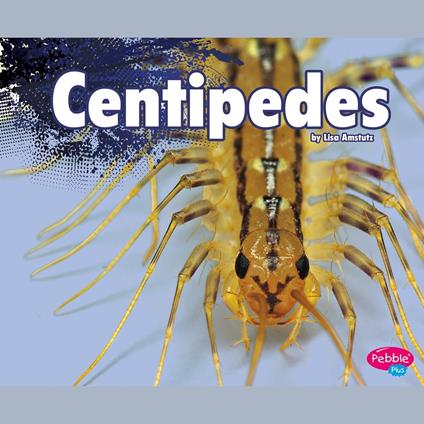 Centipedes