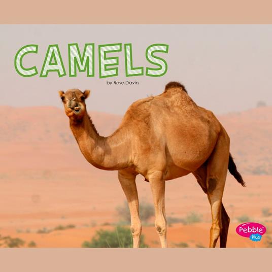 Camels