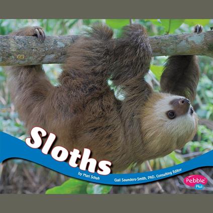 Sloths