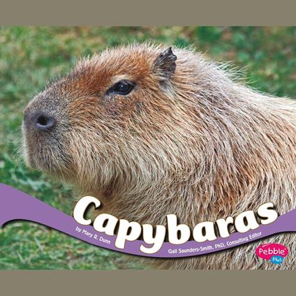 Capybaras