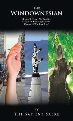 The Windownesian: Ch 10-12 - The Sapient Sabre - cover