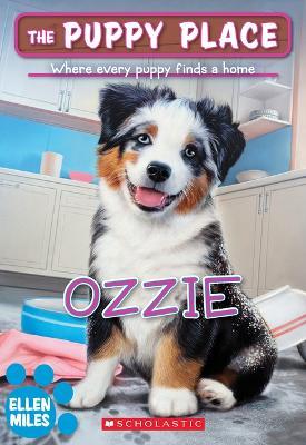 Ozzie (the Puppy Place #70) - Ellen Miles - cover