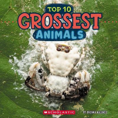 Grossest Animals (Wild World: Top 10) - Brenna Maloney - cover