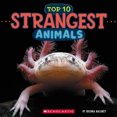 Strangest Animals (Wild World: Top 10) - Brenna Maloney - cover