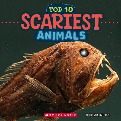 Scariest Animals (Wild World: Top 10) - Brenna Maloney - cover
