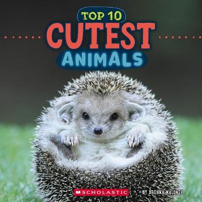 Cutest Animals (Wild World: Top 10) - Brenna Maloney - cover