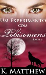 Um Experimento com Lobisomens: Parte 6