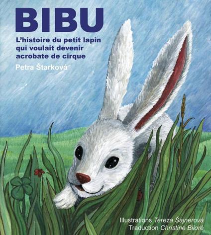 Bibu - Petra Starkova - ebook