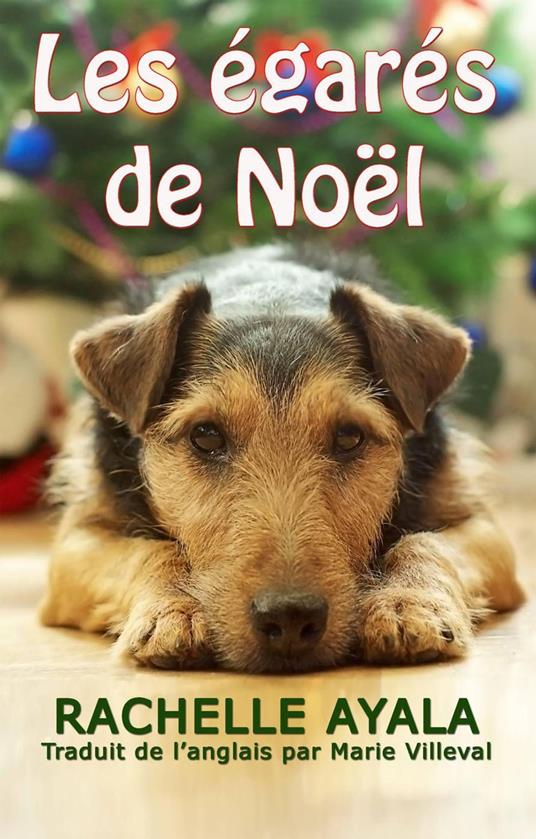 Les égarés de Noël