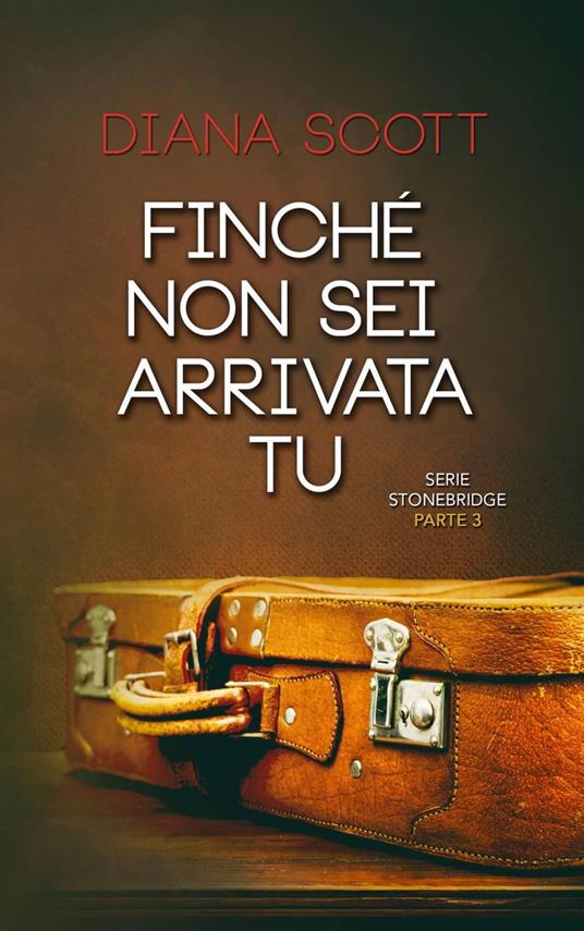 Finché non sei arrivata tu - Diana Scott - ebook
