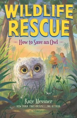 How to Save an Owl - Kate Messner - cover