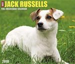 Just Jack Russells 2019 Box Calendar (Dog Breed Calendar)