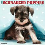 Just Schnauzer Puppies 2021 Wall Calendar (Dog Breed Calendar)