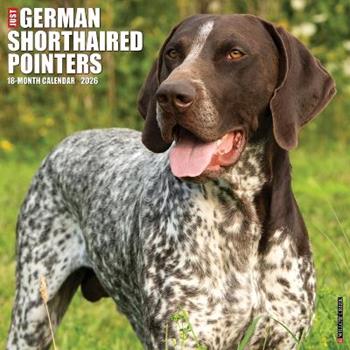 Libro in inglese German Shorthaired Pointers 2026 12 X 12 Wall Calendar  - Willow Creek Press