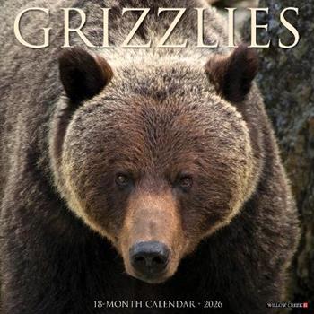 Libro in inglese Grizzlies 2026 12 X 12 Wall Calendar  - Willow Creek Press