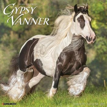 Libro in inglese Gypsy Vanner Horse 2026 12 X 12 Wall Calendar  - Willow Creek Press