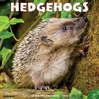 Libro in inglese Hedgehogs 2026 12 X 12 Wall Calendar  - Willow Creek Press