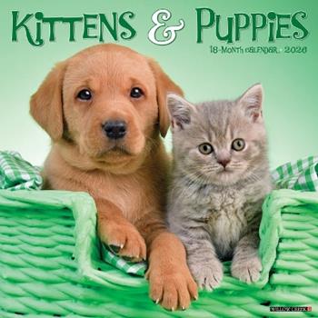 Libro in inglese Kittens & Puppies 2026 12 X 12 Wall Calendar  - Willow Creek Press
