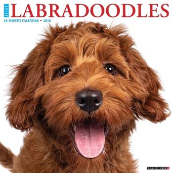 Libro in inglese Labradoodles 2026 12 X 12 Wall Calendar  - Willow Creek Press