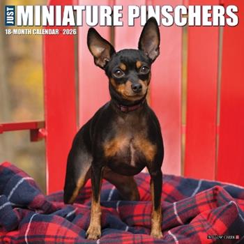 Libro in inglese Miniature Pinschers 2026 12 X 12 Wall Calendar  - Willow Creek Press