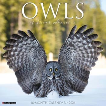 Libro in inglese Owls 2026 12 X 12 Wall Calendar  - Willow Creek Press