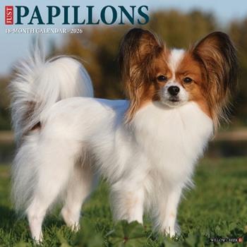 Libro in inglese Papillons 2026 12 X 12 Wall Calendar  - Willow Creek Press