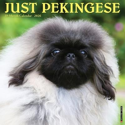 Pekingese 2026 12 X 12 Wall Calendar - Willow Creek Press - cover