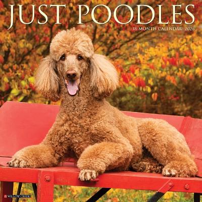 Poodles 2026 12 X 12 Wall Calendar - Willow Creek Press - cover