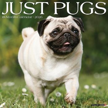 Libro in inglese Pugs 2026 12 X 12 Wall Calendar  - Willow Creek Press
