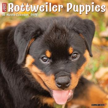 Libro in inglese Rottweiler Puppies 2026 12 X 12 Wall Calendar  - Willow Creek Press