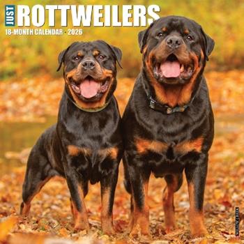Libro in inglese Rottweilers 2026 12 X 12 Wall Calendar  - Willow Creek Press