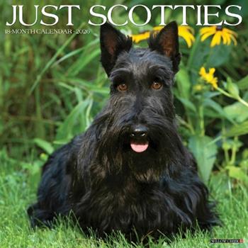 Libro in inglese Scotties 2026 12 X 12 Wall Calendar  - Willow Creek Press