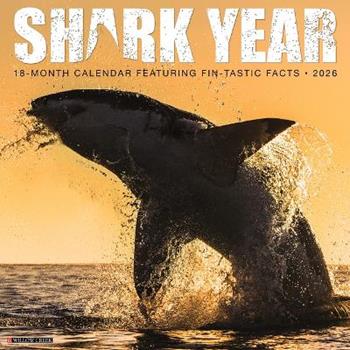 Libro in inglese Shark Year 2026 12 X 12 Wall Calendar  - Willow Creek Press