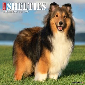 Libro in inglese Shelties 2026 12 X 12 Wall Calendar  - Willow Creek Press