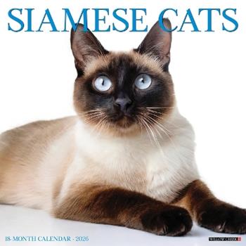Libro in inglese Siamese Cats 2026 12 X 12 Wall Calendar  - Willow Creek Press
