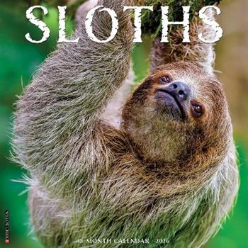 Libro in inglese Sloths 2026 12 X 12 Wall Calendar  - Willow Creek Press