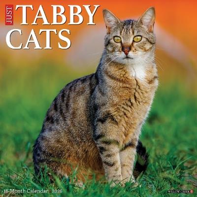 Tabby Cats 2026 12 X 12 Wall Calendar - Willow Creek Press - cover