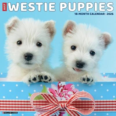 Westie Puppies 2026 12 X 12 Wall Calendar - Willow Creek Press - cover